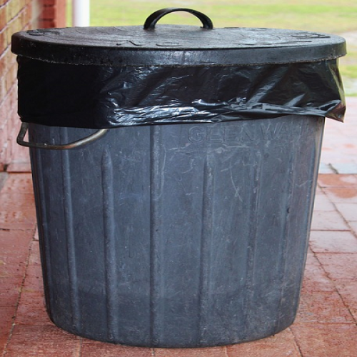What is this? (trash) phrase image