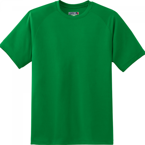 What are you wearing? (a green shirt) phrase image