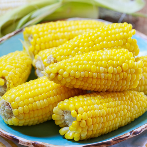 What are you eating? (corn on the cob) phrase image