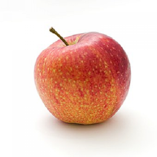 What are you eating? (an apple) phrase image