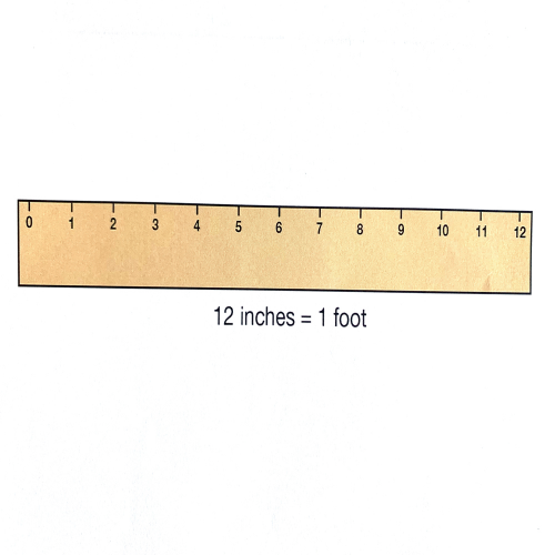 How do you say "foot?" phrase image