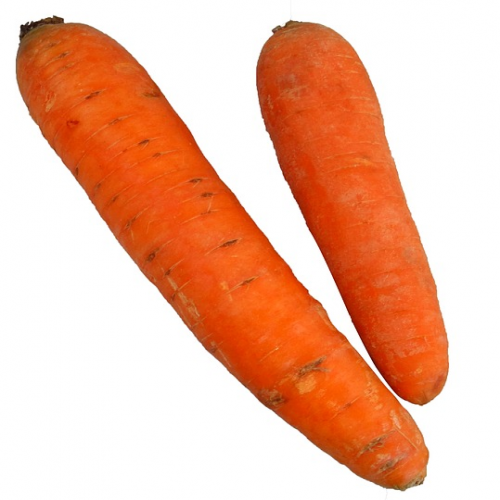 What are you eating? (long items) phrase image