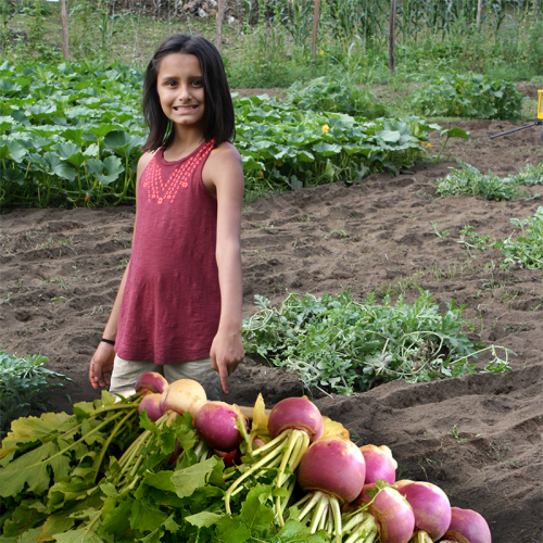 What are you planting? (turnip greens) phrase image