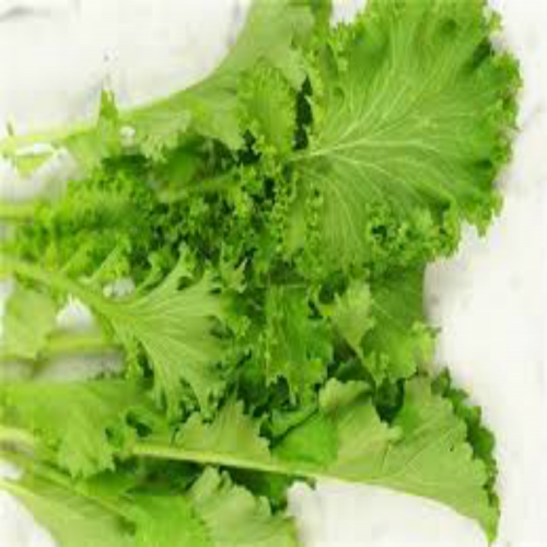 What are you planting? (curly leafed mustard greens) phrase image