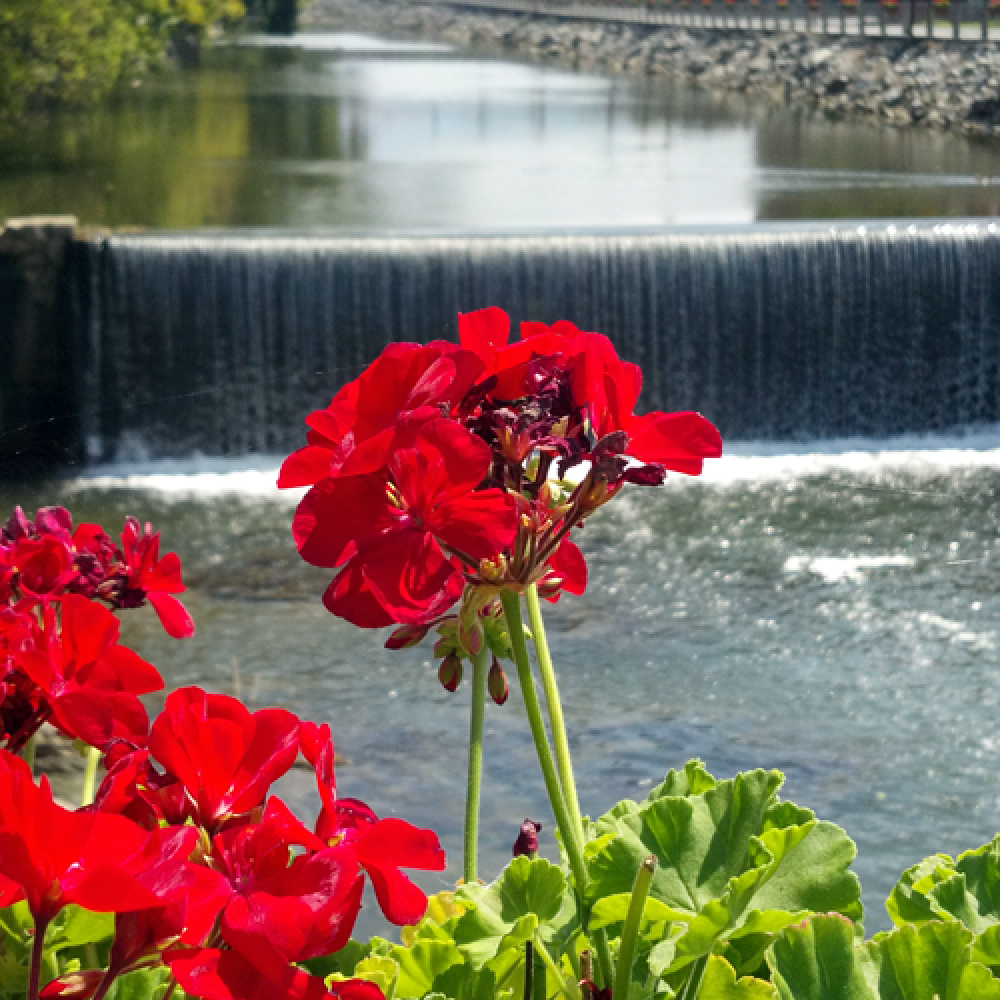Spring word image