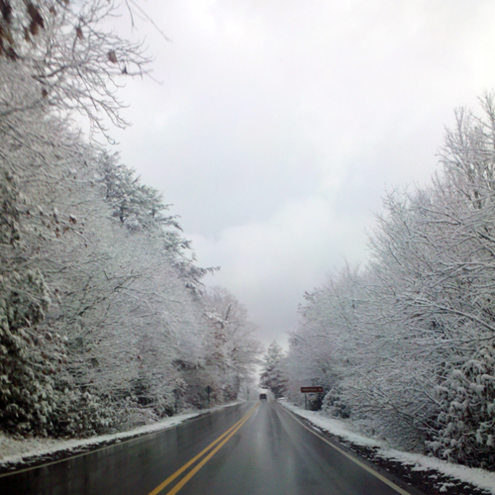 Seasons category image