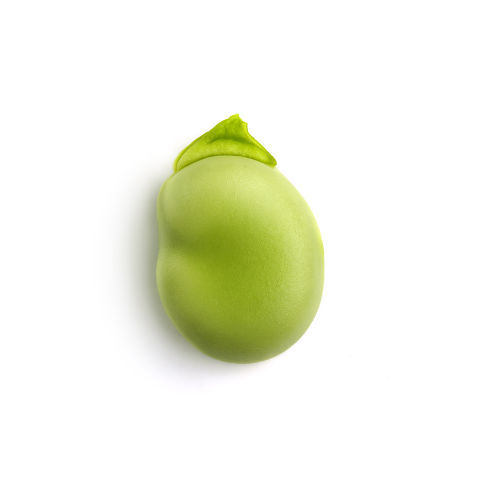bean word image