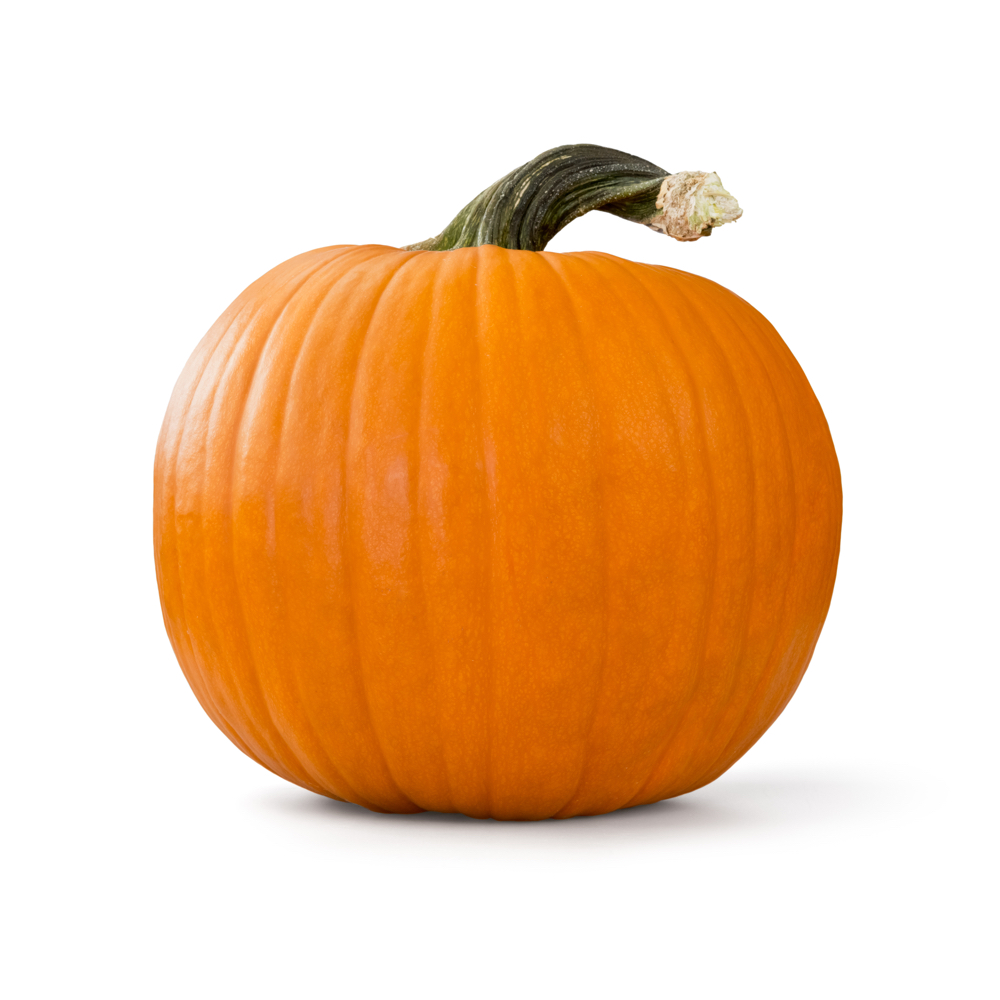 pumpkin word image