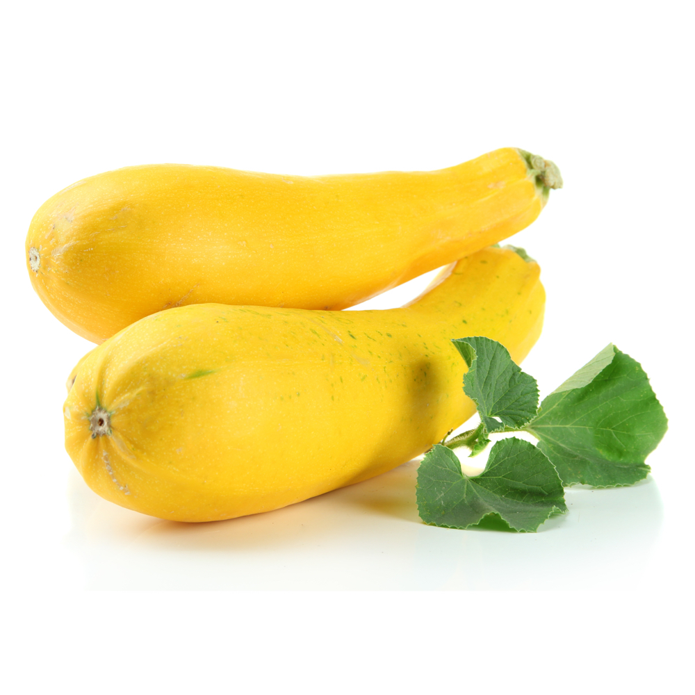 squash word image