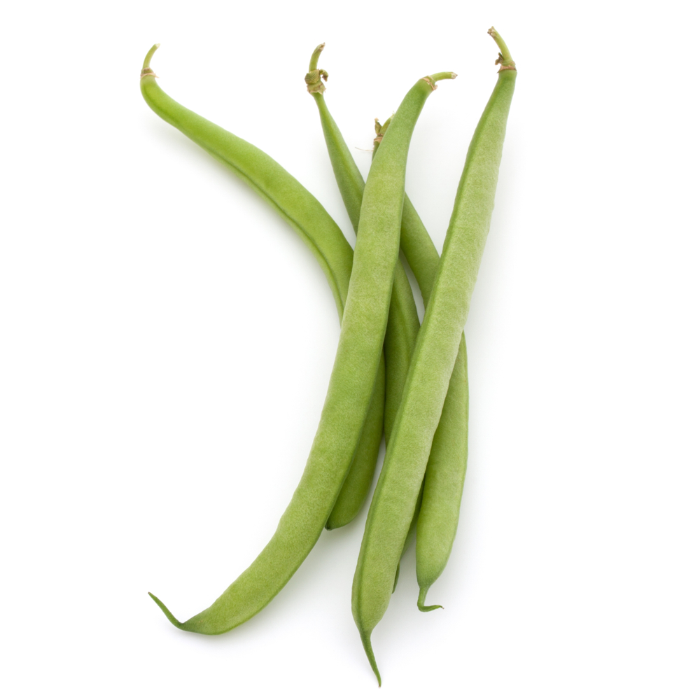 green bean word image