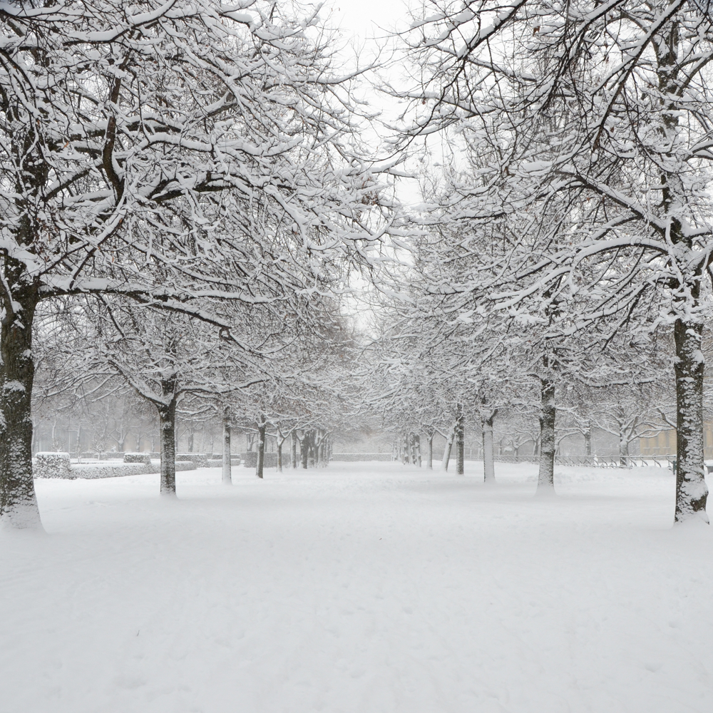It is snowing. word image