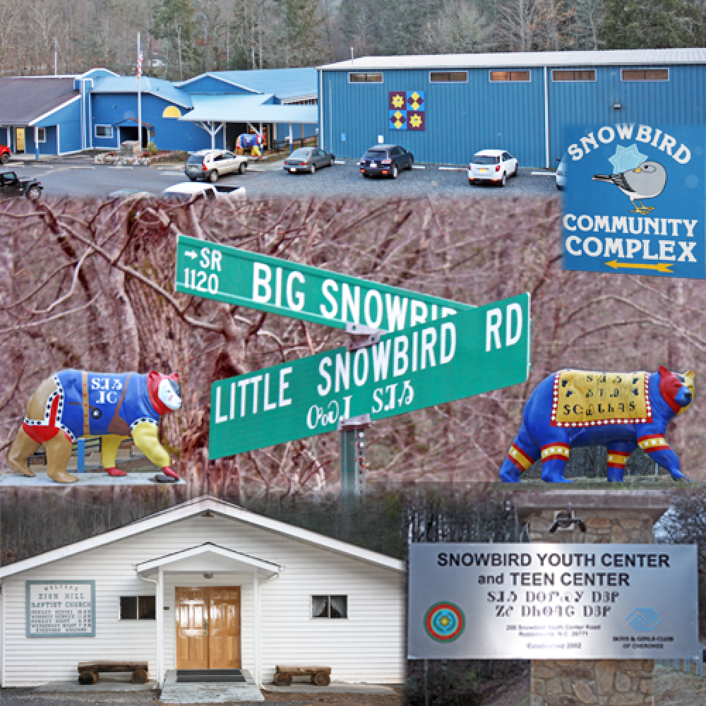 Snowbird word image