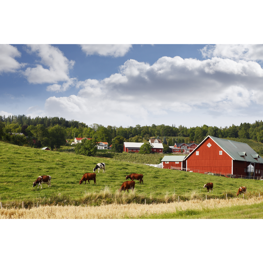 Farm word image
