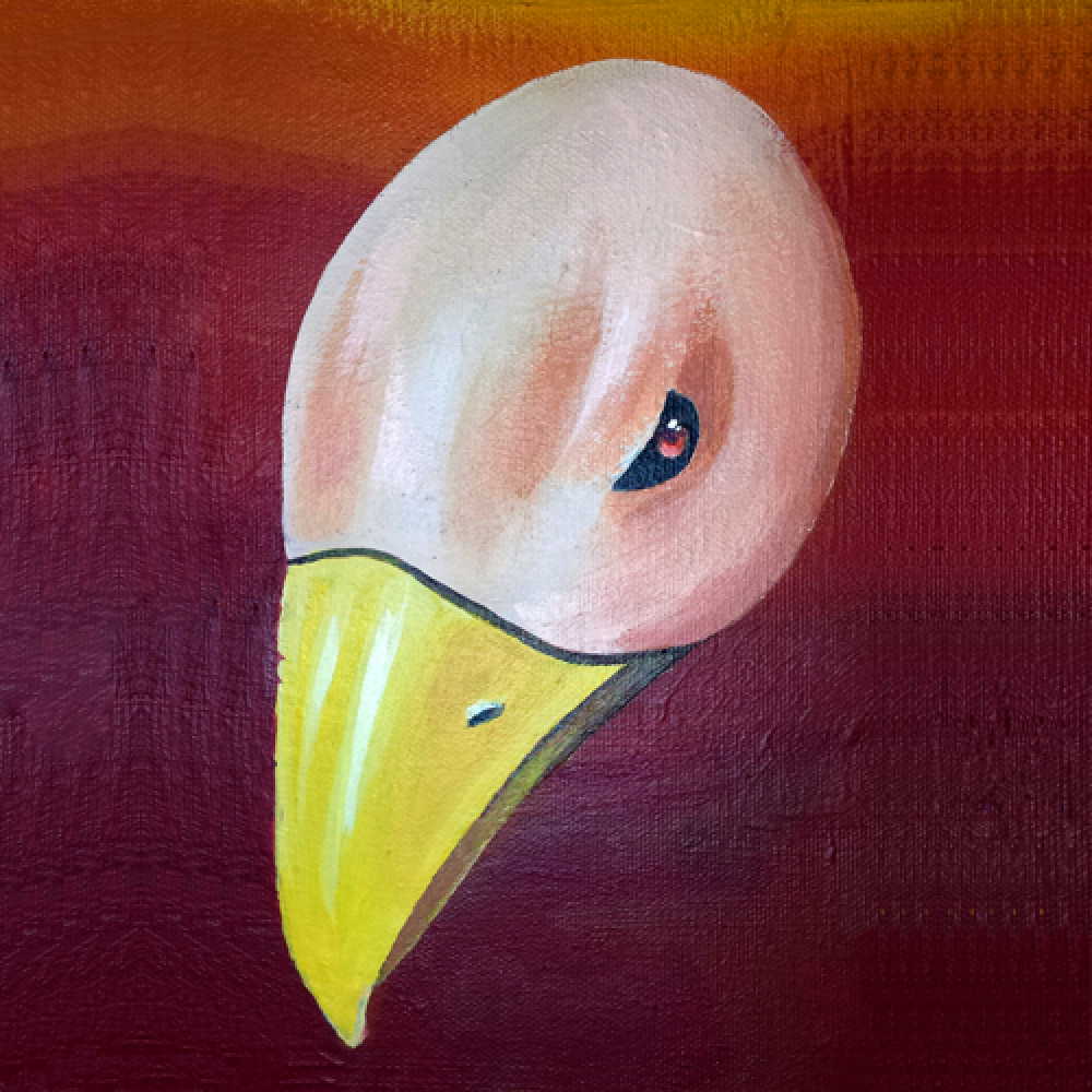 Bird Clan word image