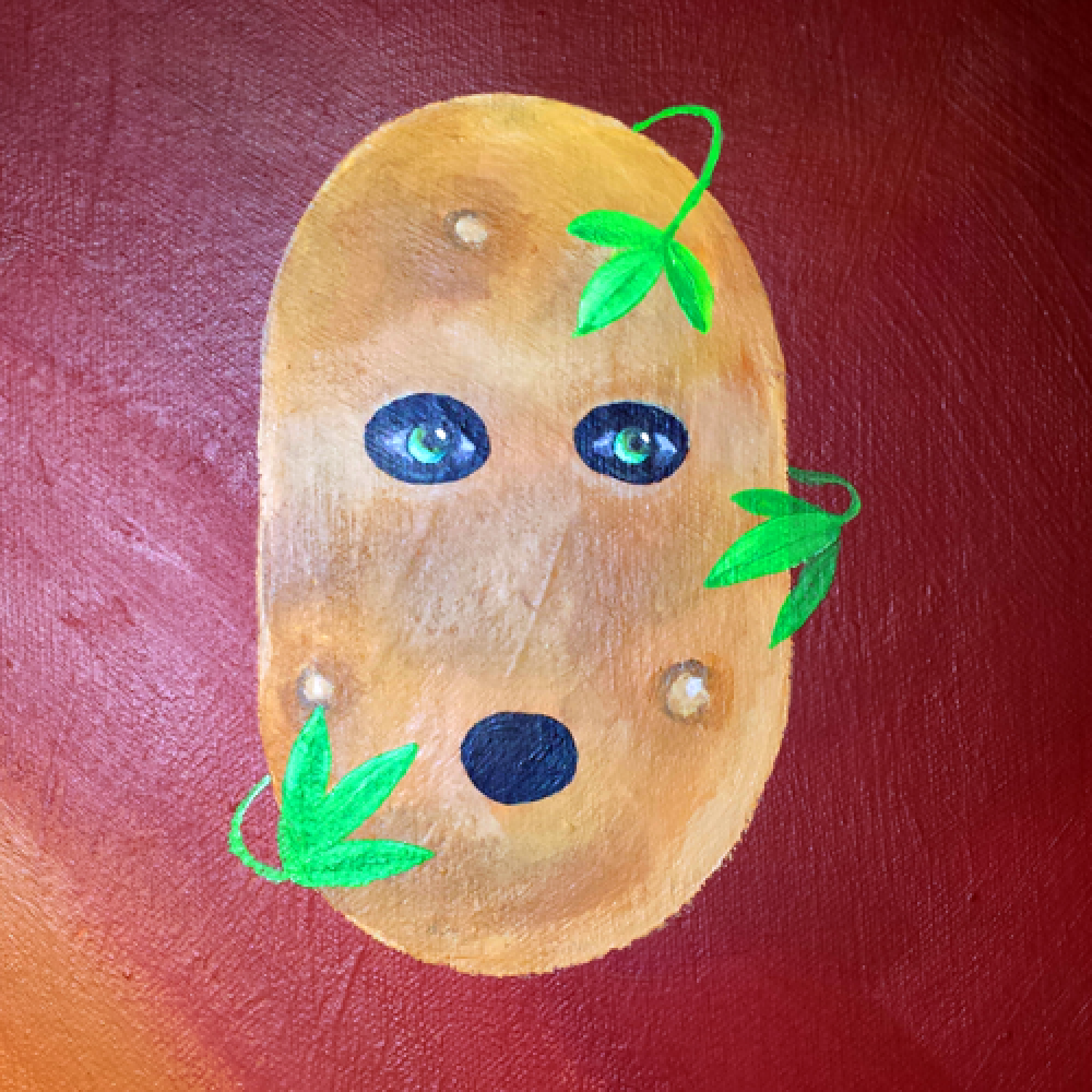 Wild Potato Clan word image