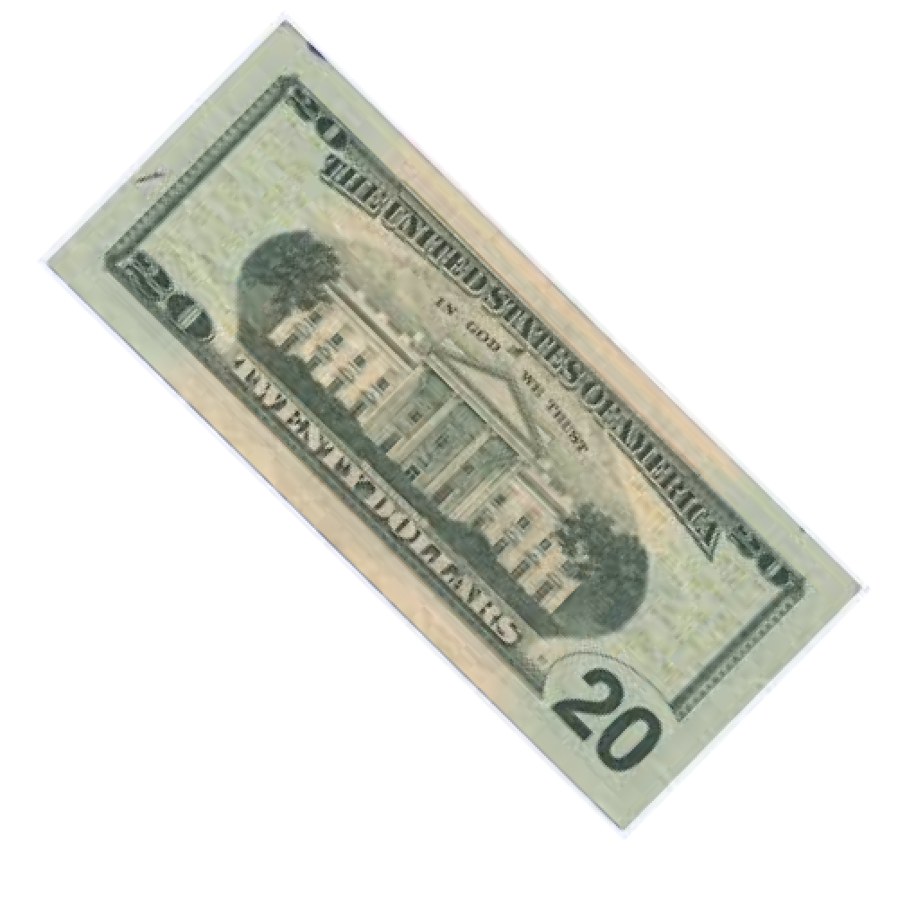 Twenty Dollars word image