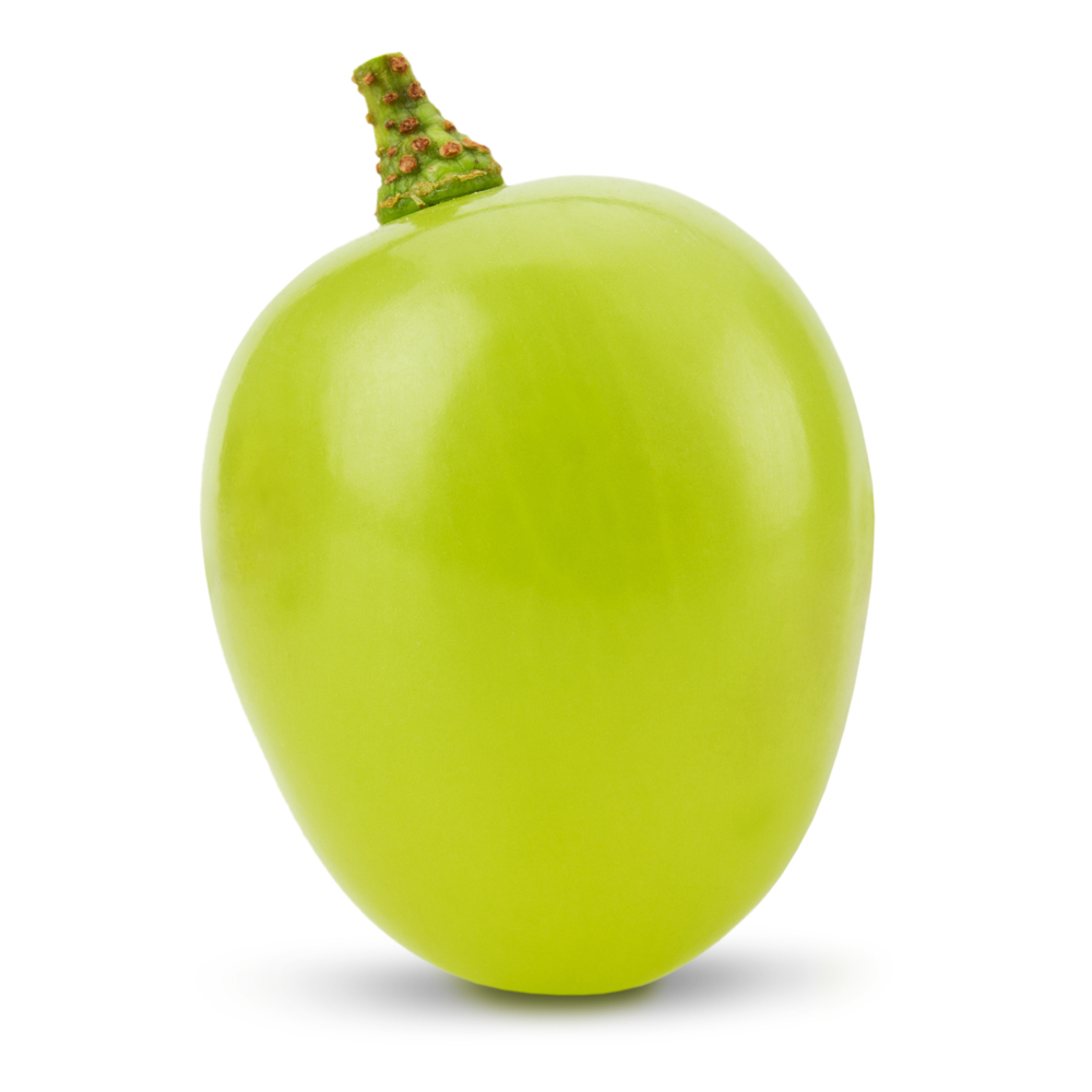 grape word image