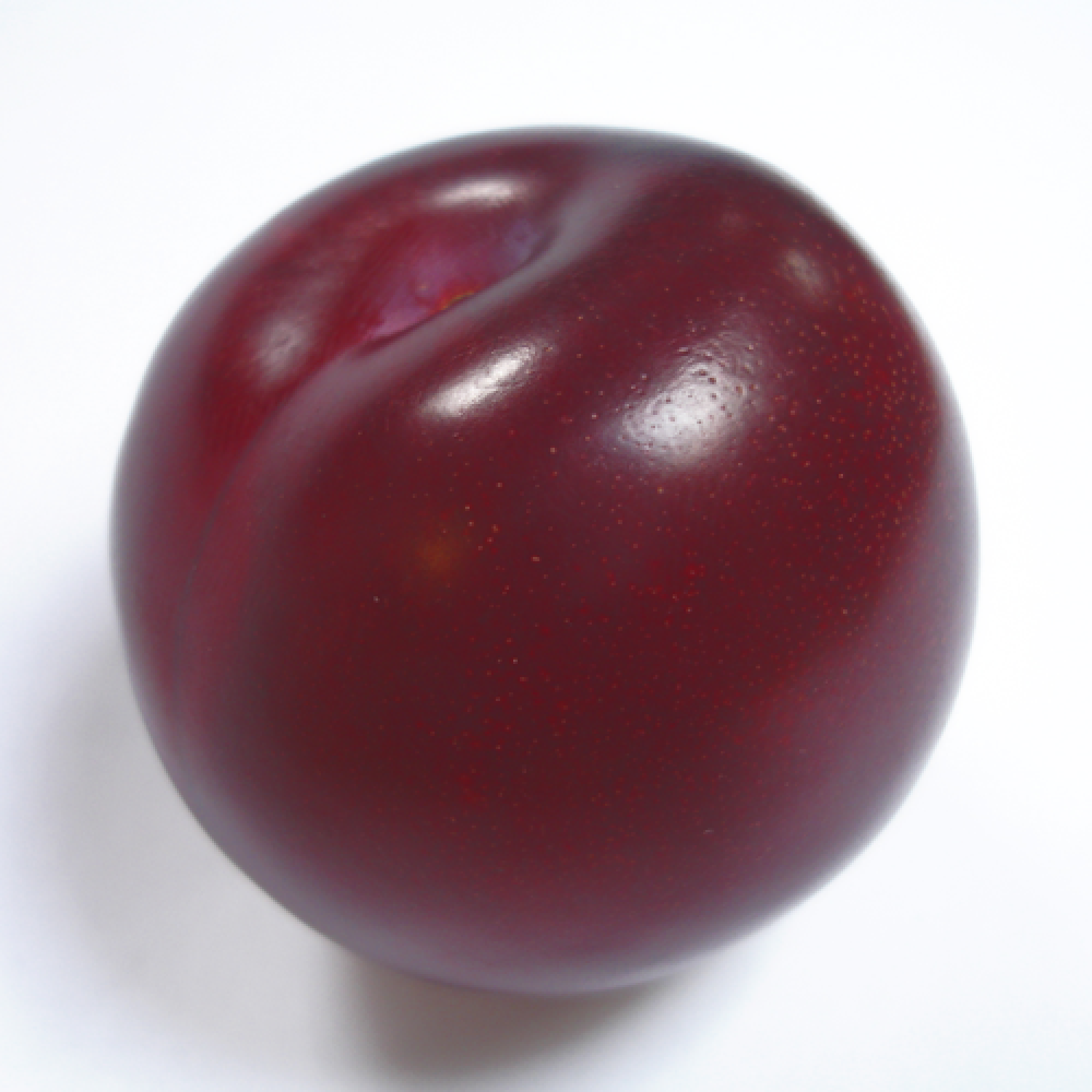 plum word image