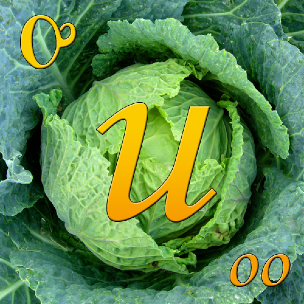 oo word image