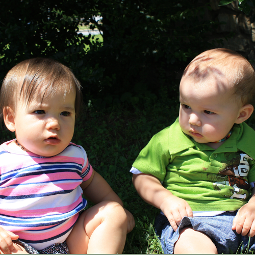 The babies phrase image