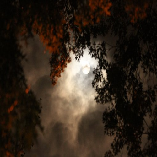 Is it night time? phrase image